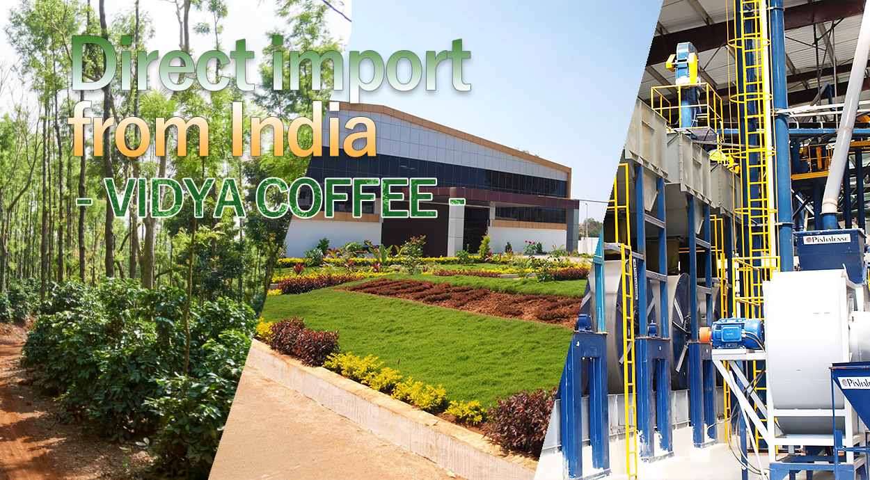 VIDYA COFFEE（インド）から直輸入