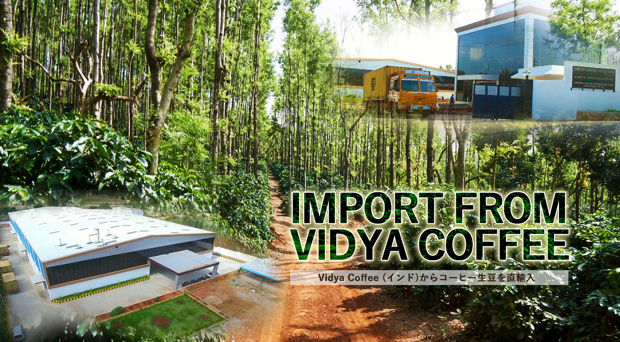 ヴィディヤコーヒー（インド）からコーヒー生豆を直輸入