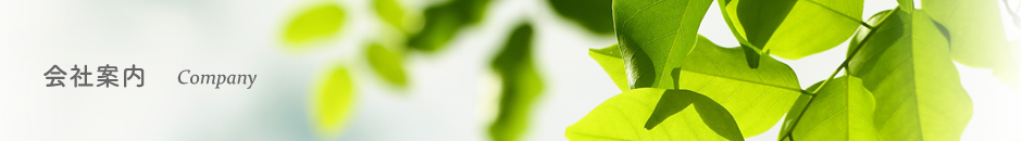 会社案内