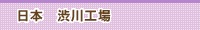日本　渋川工場