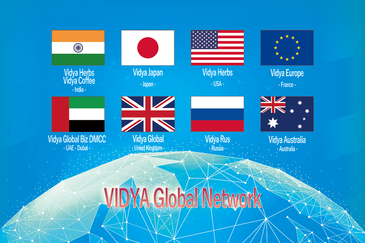 ヴィディヤグループのグローバルネットワーク