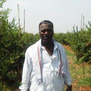 ザクロ原料農家