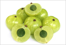 アムラエキス末