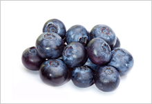 ビルベリーエキス末