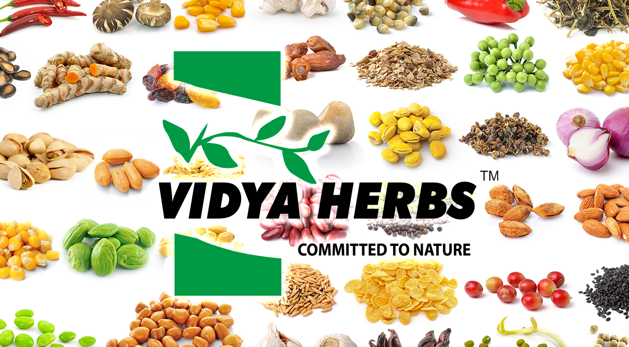 VIDYA HERBS PVT.LTD.(インド) について