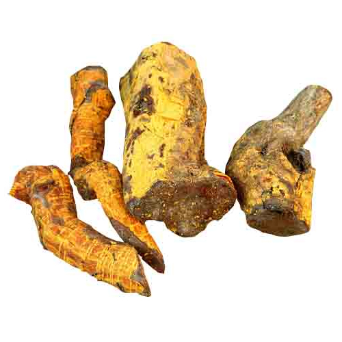 サラシアエキス末