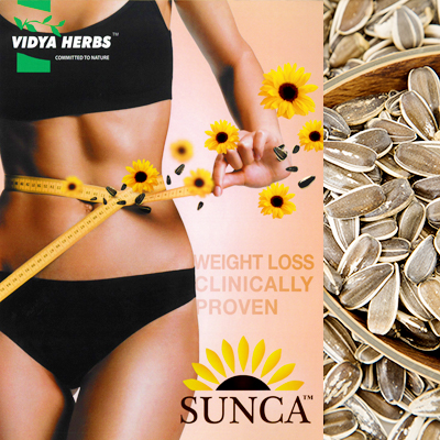 SUNCA ヒマワリ種子エキス末