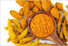 ターメリックエキス末